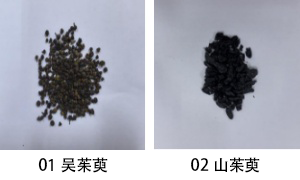 01吳茱萸02山茱萸a.png